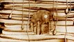 2010 - Sand drawing for pictures screening during show "Lunar (…)