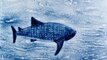 2010 - Dessin sur sable bleu, Requin Baleine