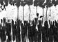 2011 :: Black Ink Drawing, Toxic rain :: A4