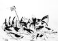 2013 :: Roasted Pork :: Black ink, A4