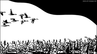 2011 : : Dessin noir et blanc : La dernière migration
