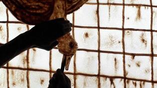 2009 - Film d'animation de sable "Mangez Buvez Gavez"