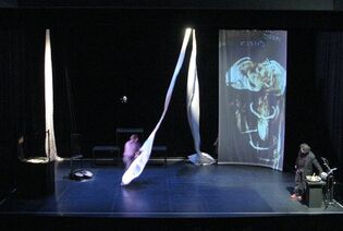 2010 :: Live sand drawing for the play "Cet animal qui nous regarde"