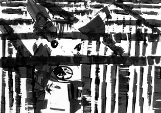 2013 : : Cochon Cage : : Encre noire, A3