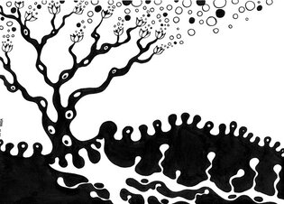 2011 :: Black Ink Drawing, Spring Tree :: A4